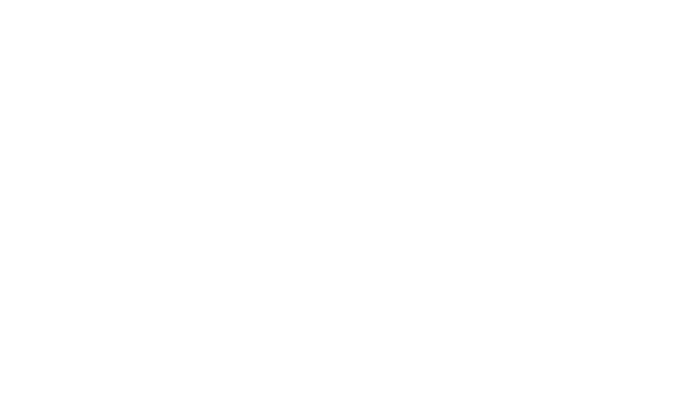 Dual Highway Liquors logo